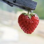 Грандиозная распродажа марта